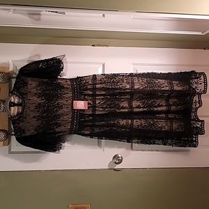 NWT Ivy City Co Black Sheer Lace with Cream Lining Dress  - Size Medium